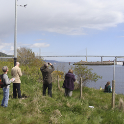 Merkinch Circles